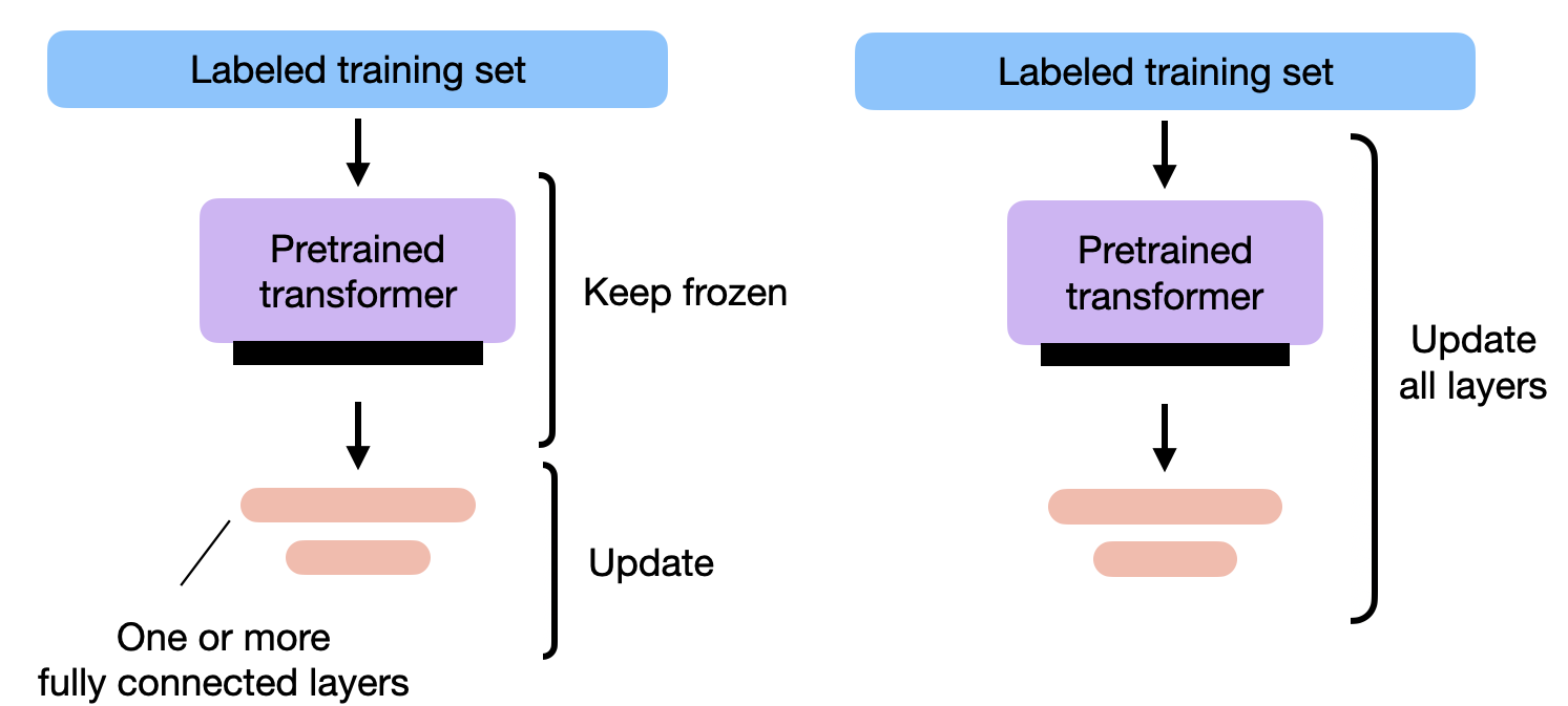 Standard Fine-tuning vs. PEFT