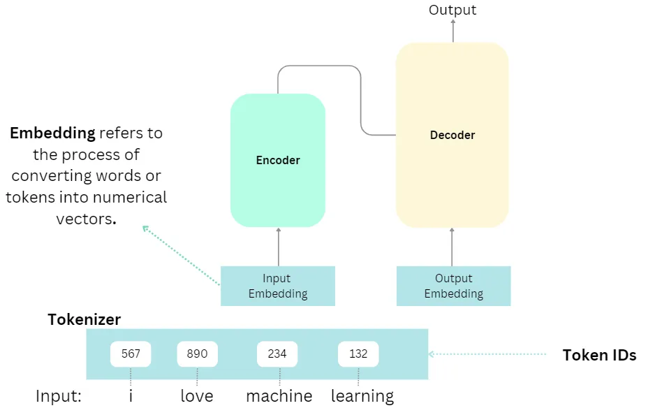 Encoder Embeddings